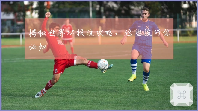 揭秘世界杯投注攻略，这些技巧你必知