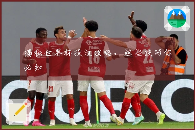 揭秘世界杯投注攻略，这些技巧你必知