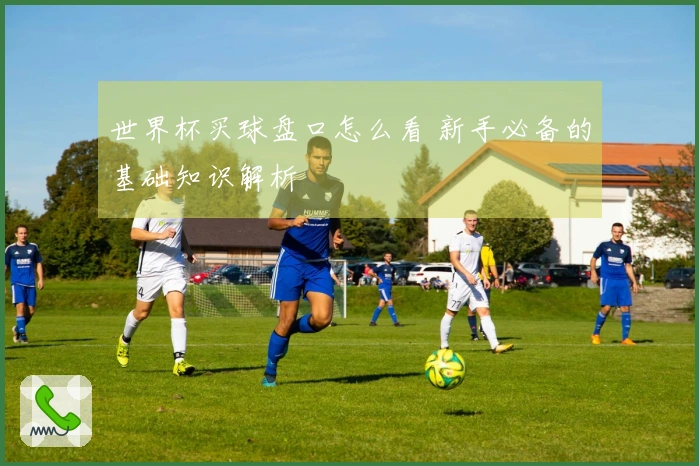 世界杯买球盘口怎么看 新手必备的基础知识解析
