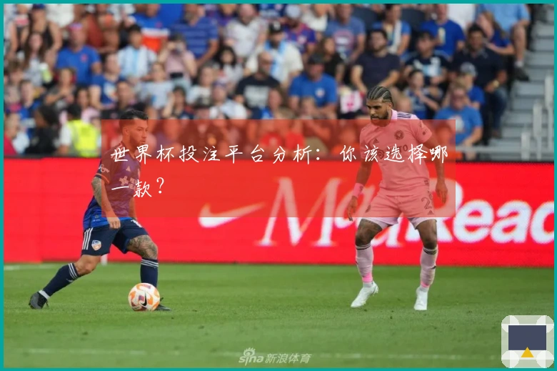 世界杯投注平台分析：你该选择哪一款？