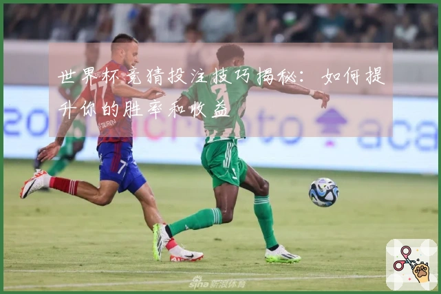 世界杯竞猜投注技巧揭秘：如何提升你的胜率和收益